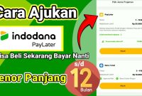 Butuh Dana Cepat? Pinjaman Online Indodana Bisa Jadi Solusinya!